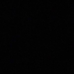 Meet your Posher, Noelle